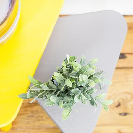 Σπίτι διακοπών Quintinha Vale Dos Pinheiros