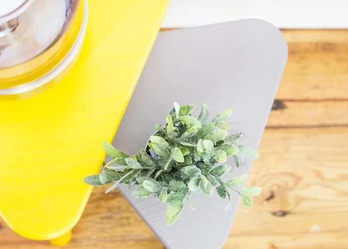 Дом отдыха Quintinha Vale Dos Pinheiros